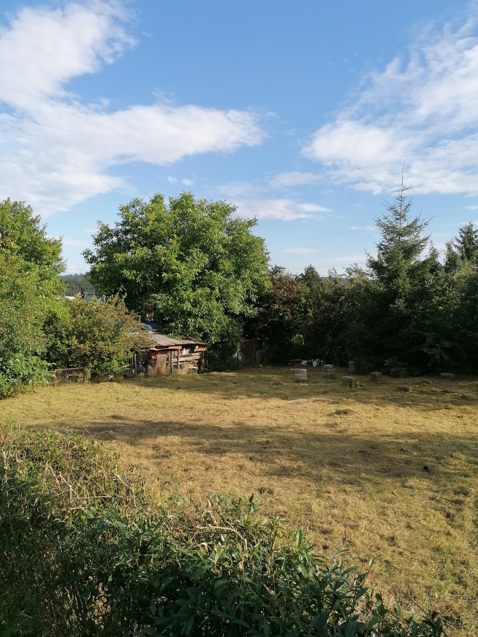 Rozległy trawnik z suchą trawą, otoczony drzewami i krzewami, z małą drewnianą szopą w tle i błękitnym niebem z chmurami.