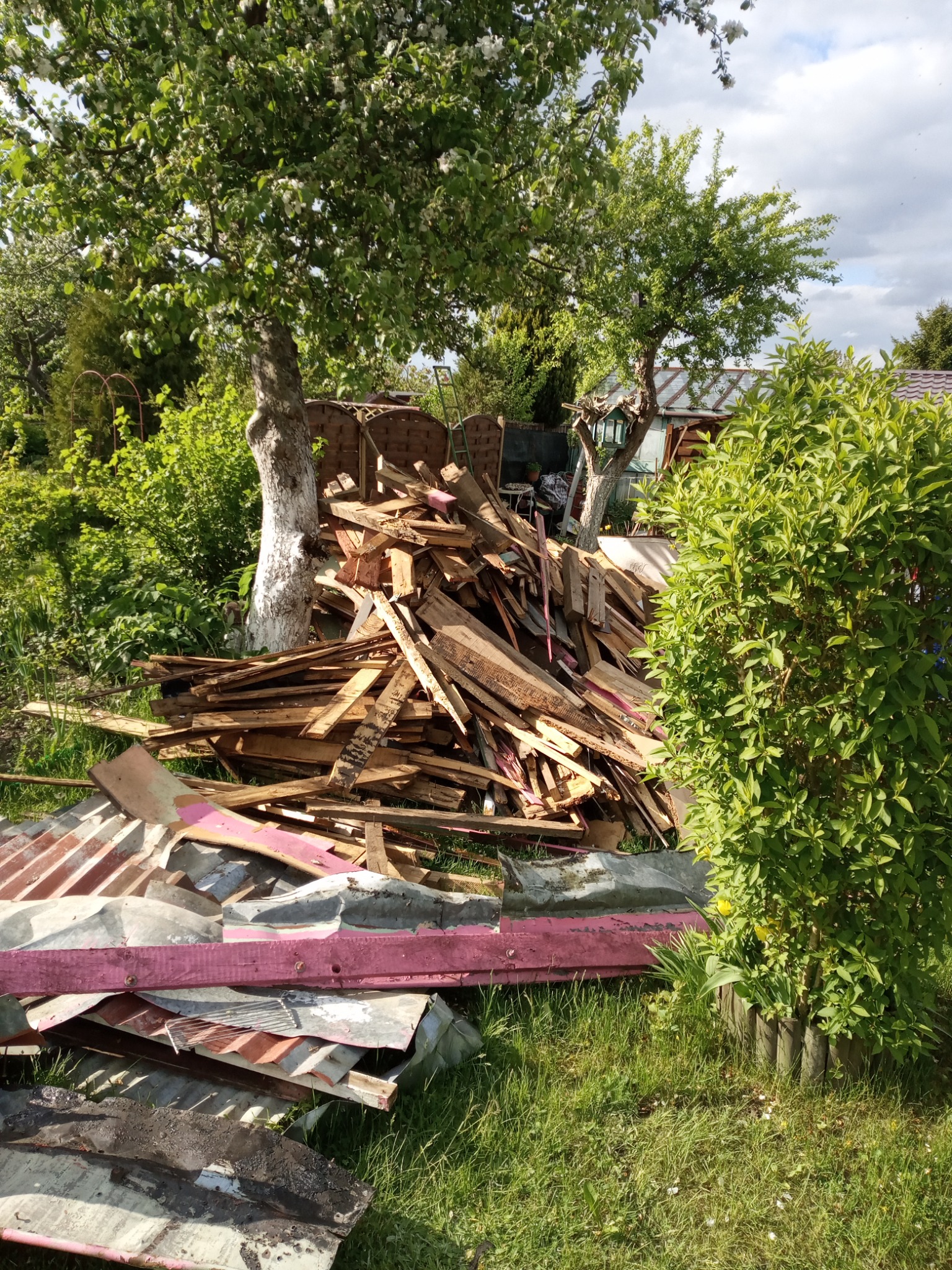 Sterta gruzu, w tym deski i blacha, leżąca na trawie w ogrodzie, obok drzewa z bielonym pniem i krzewu.
