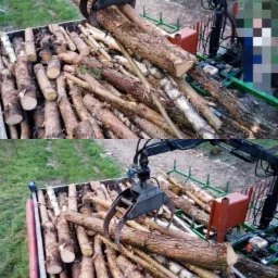 Załadunek pociętych pni drzew za pomocą mechanicznej chwytarki na przyczepę; widoczny stos pociętego drewna i fragment zielonego terenu w tle.