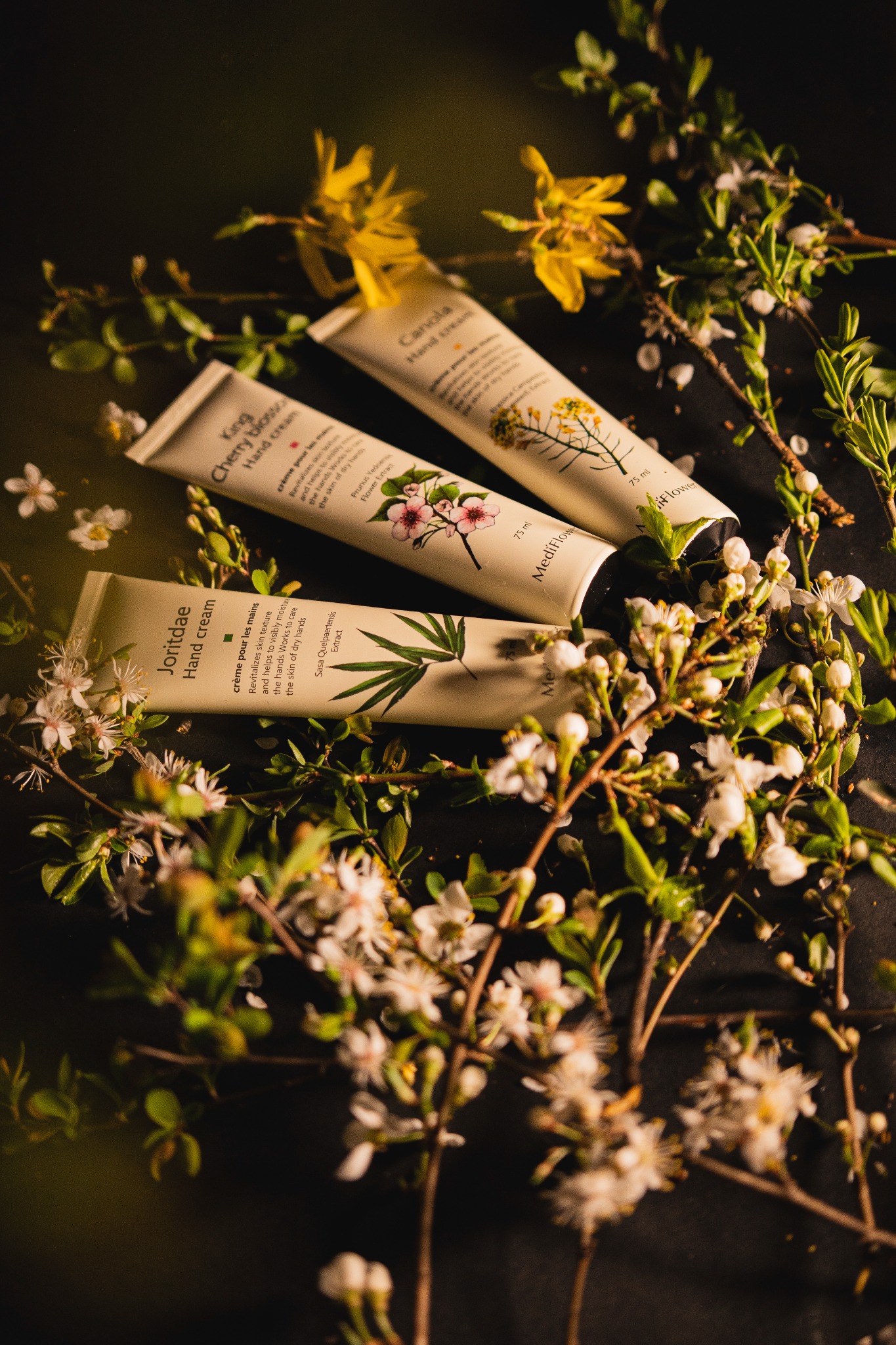 Trzy tubki kremu do rąk różnych rodzajów, otoczone kwitnącymi gałązkami na ciemnym tle, z delikatnym oświetleniem podkreślającym naturalne składniki.