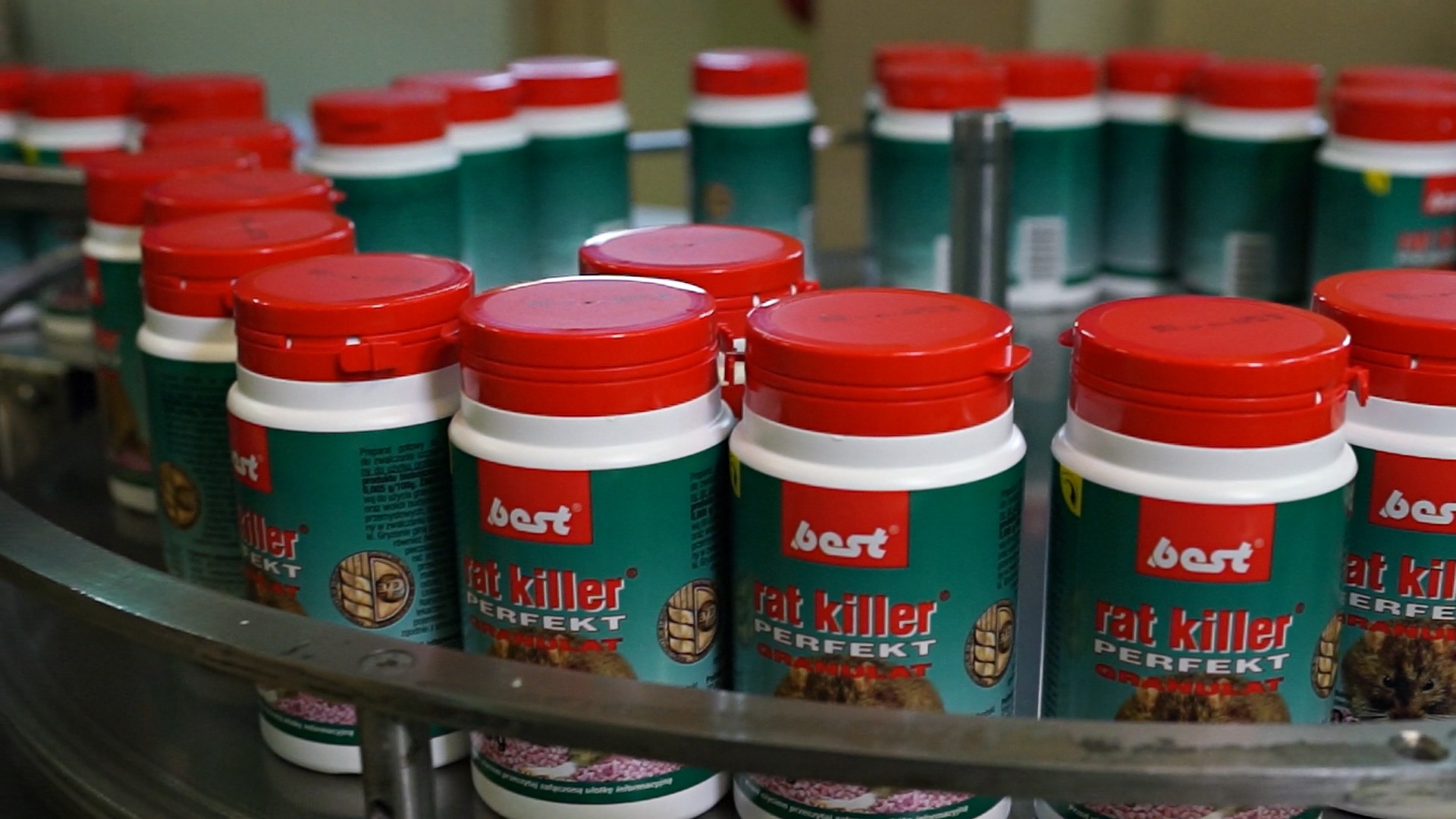 Butelki z preparatem na szczury 'Best Rat Killer Perfekt Granulat' na linii produkcyjnej, widoczne czerwone zakrętki i zielone etykiety.