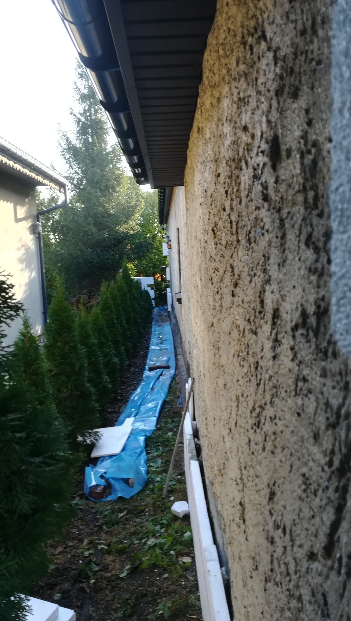 Ocieplanie ściany zewnętrznej budynku, widoczna warstwa styropianu, folia ochronna na ziemi i rząd tuj.