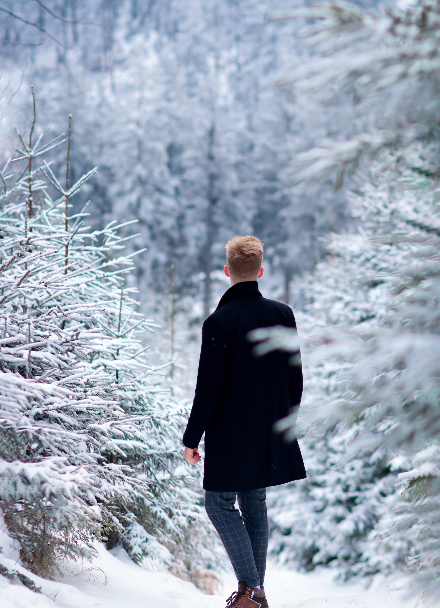 Mężczyzna w czarnym płaszczu i spodniach w kratę idzie przez zasypany śniegiem las iglasty, widok z tyłu.