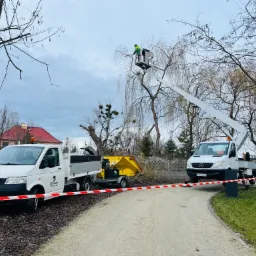 Pracownik na podnośniku koszowym przycina gałęzie drzewa w parku, obok zaparkowane dwa samochody dostawcze i rębarka do gałęzi, teren zabezpieczony taśmą ostrzegawczą.