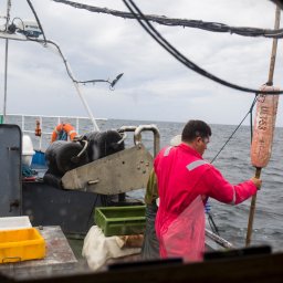 Sesja ciążowa Koszalin 3
