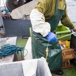 Sesja ciążowa Koszalin 4