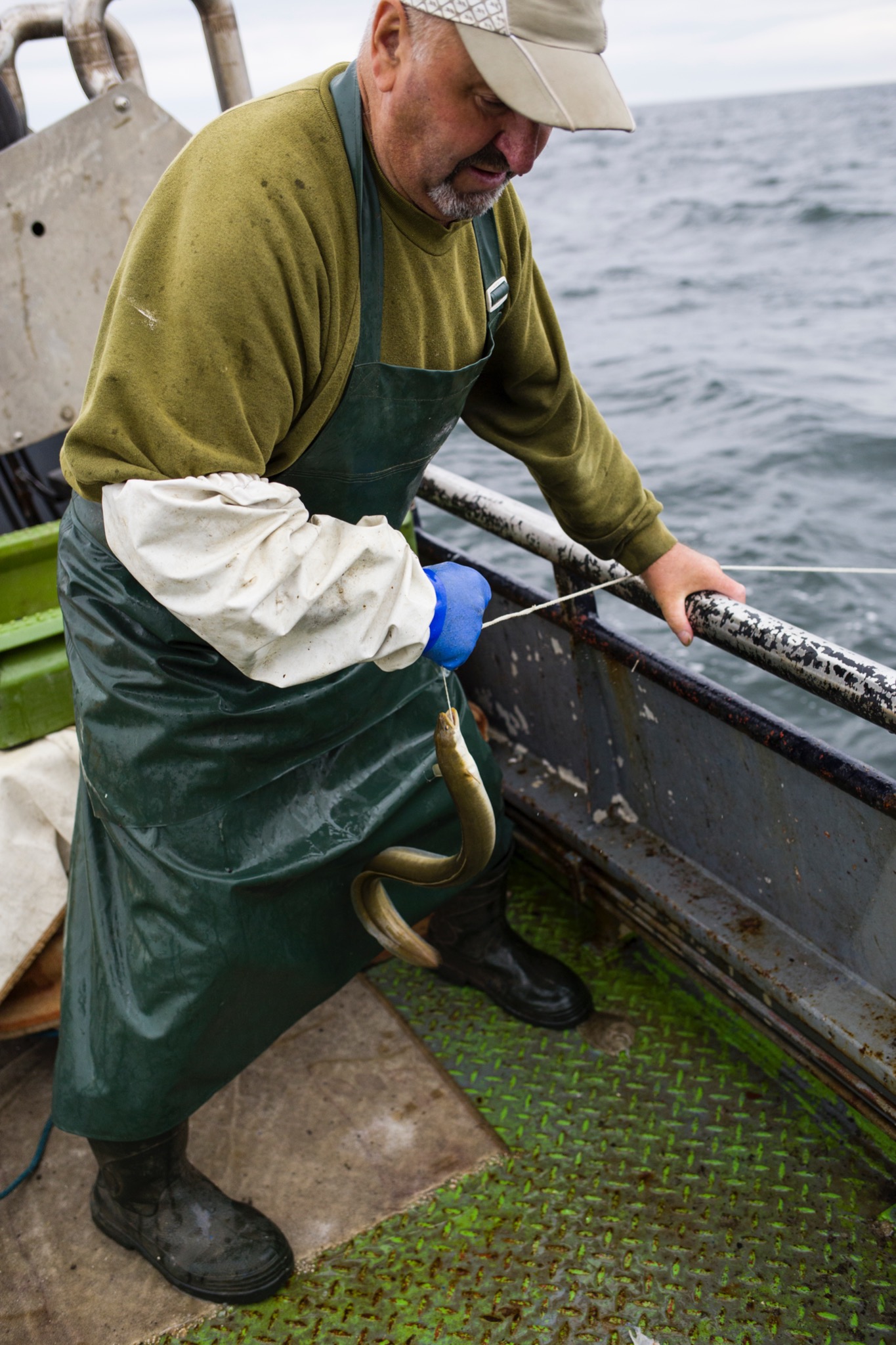 Rybolów: Mężczyzna w zielonym swetrze i wodoodpornym fartuchu trzyma złowionego węgorza na pokładzie łodzi, z widocznym morzem w tle.