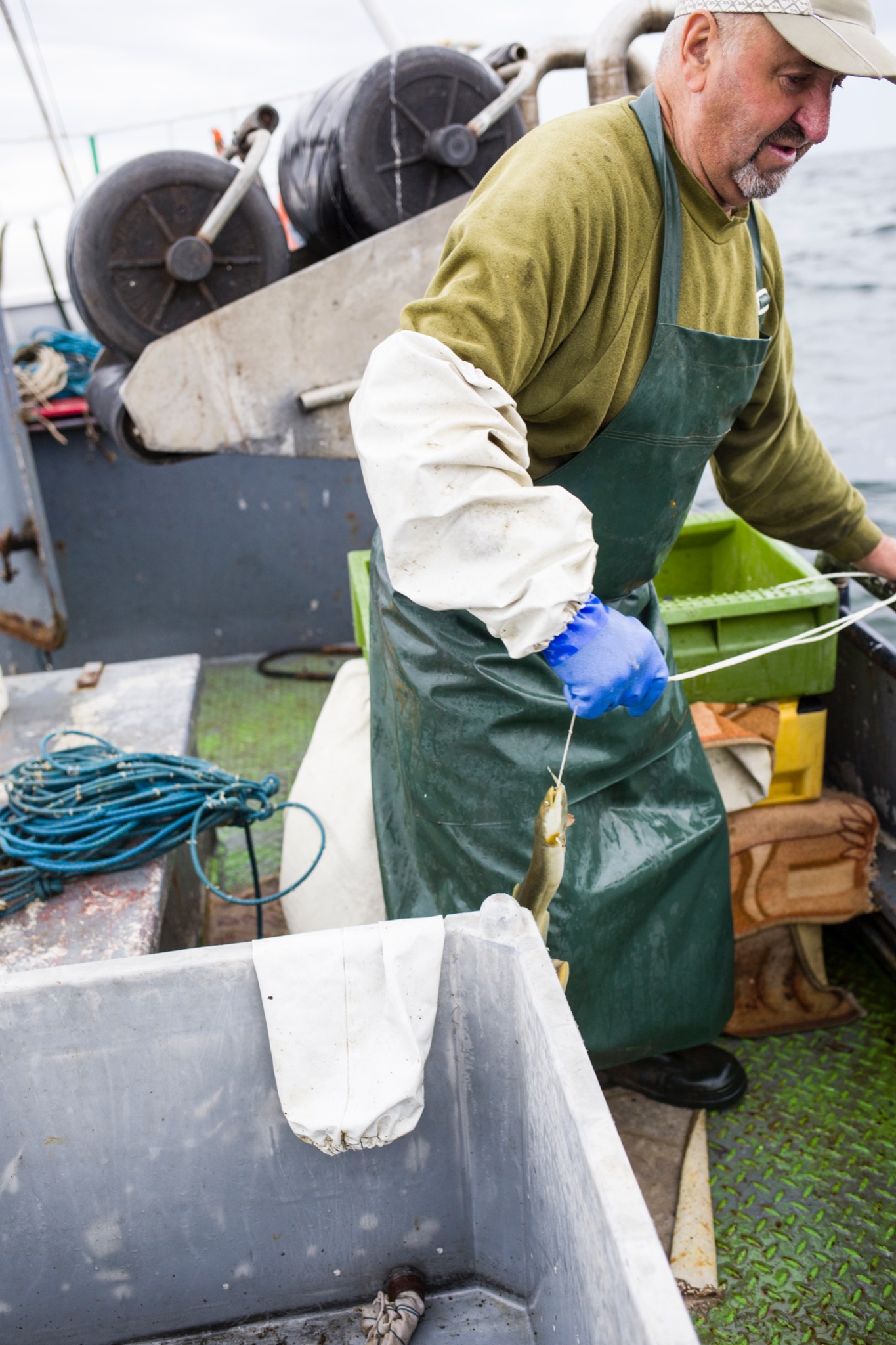 Rybacki portret: Mężczyzna w zielonym fartuchu i niebieskich rękawicach trzyma na sznurku małą rybę na pokładzie łodzi, z widocznymi linami i plastikowymi pojemnikami.