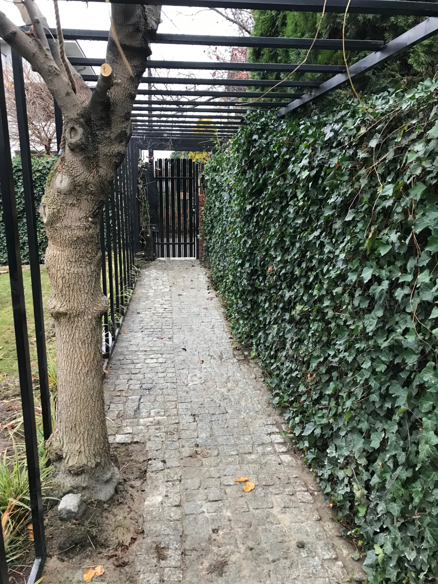 Ścieżka z kostki brukowej prowadząca pod metalową pergolą, obok ściany porośniętej bluszczem i pnia drzewa wkomponowanego w konstrukcję.