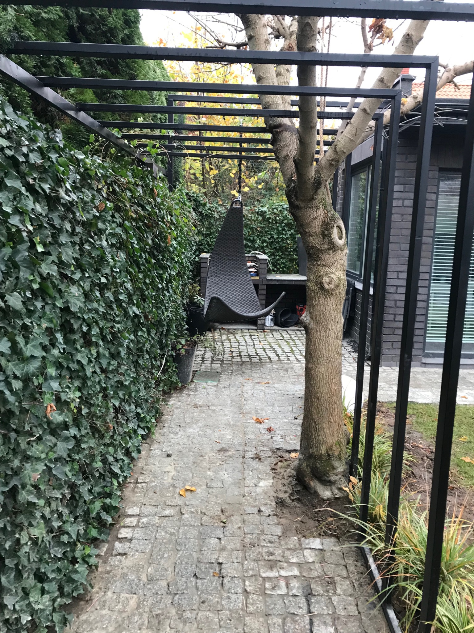 Metalowa pergola w ogrodzie z pnącym bluszczem, drzewem wyrastającym przez konstrukcję i wiszącym fotelem kokonem w tle.