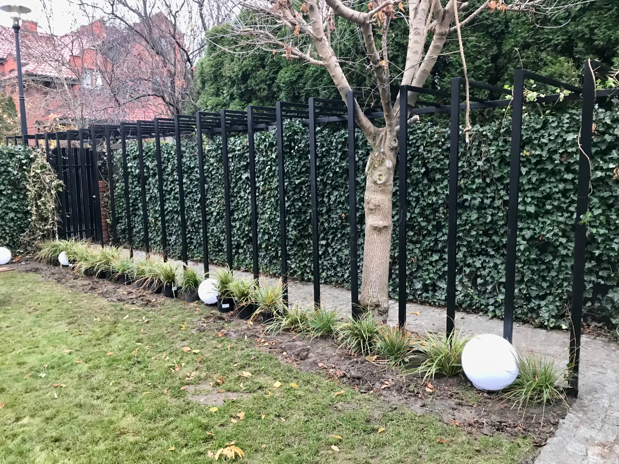 Czarny metalowy stelaż pod pnącza obsadzony bluszczem, białe kule świetlne wzdłuż ścieżki, trawa ozdobna w doniczkach, drzewo z liną.