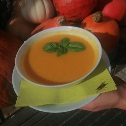 P. H. U. Mirosław Pranszke - Krem z dyni z listkiem bazylii, podany na zielonej serwetce z osą, otoczony dekoracyjnymi dyniami