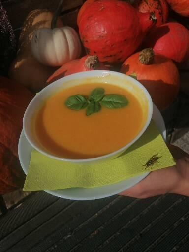 Krem z dyni z listkiem bazylii, podany na zielonej serwetce z osą, otoczony dekoracyjnymi dyniami