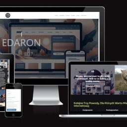 Tworzenie stron internetowych Berlin 1