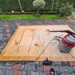 Czyszczenie beżowego dywanu z motywem kwiatowym na zewnątrz, z użyciem odkurzacza piorącego; widoczne ślady wilgoci po czyszczeniu.