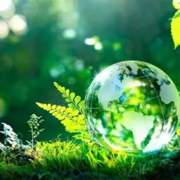 Szklana kula ziemska na mchu, otoczona paprociami i liśćmi, z promieniami słonecznymi w tle.