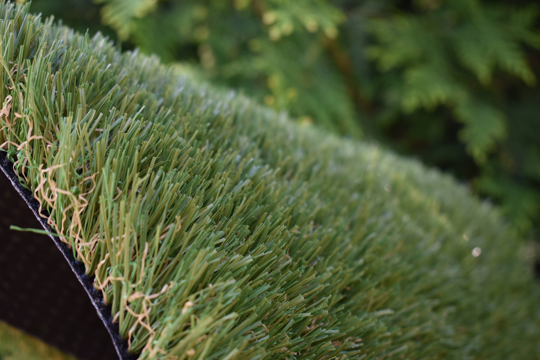 Fragment rolki sztucznej trawy z widocznym podkładem, na rozmytym tle zielonych krzewów.