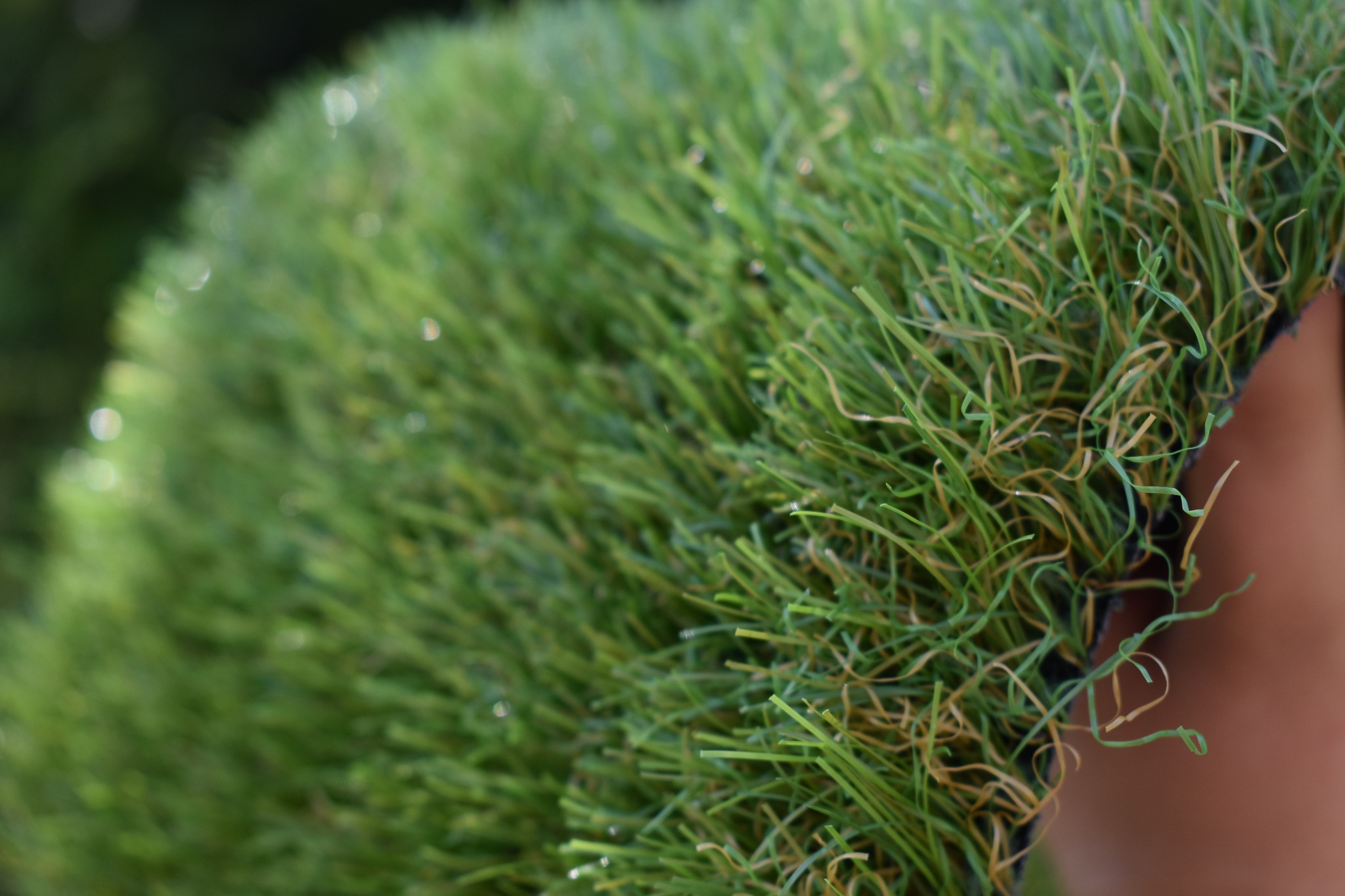 Fragment rolki sztucznej trawy z widocznymi źdźbłami w odcieniach zieleni i beżu, z delikatnym połyskiem sugerującym wilgoć, trzymanej w dłoni.