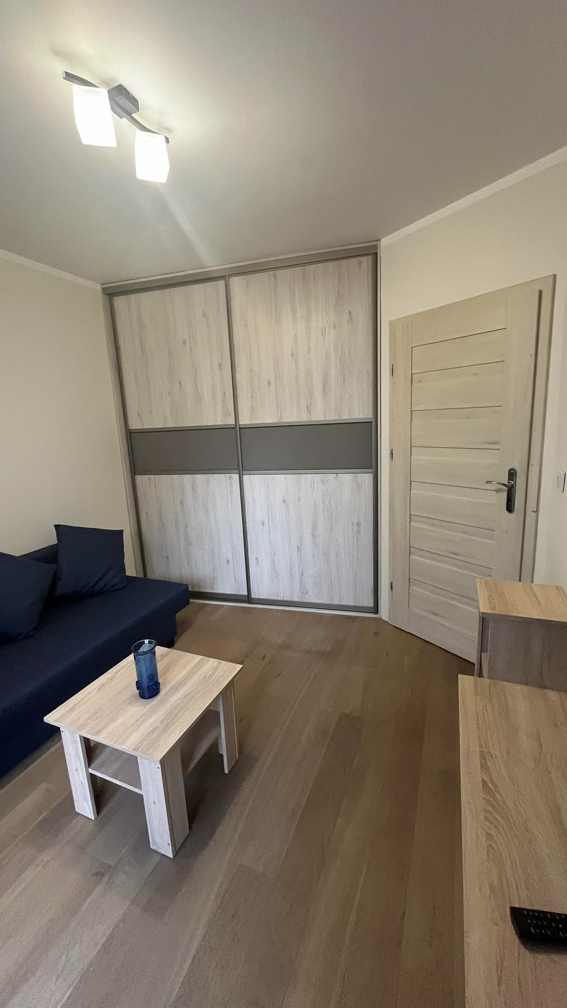 Wykończone wnętrze: Jasne panele podłogowe, sofa z poduszkami, stolik kawowy z wazonem, szafa przesuwna z drewnopodobnymi frontami i panele na ścianach w pokoju.