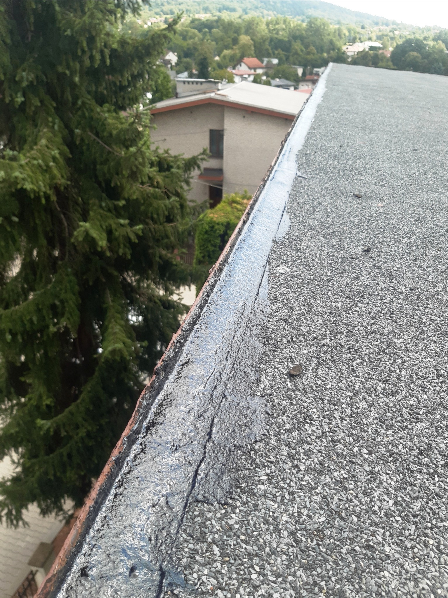 Widok z góry na fragment dachu pokrytego papą z widocznym świeżym uszczelnieniem na krawędzi, w tle budynek i drzewo iglaste.
