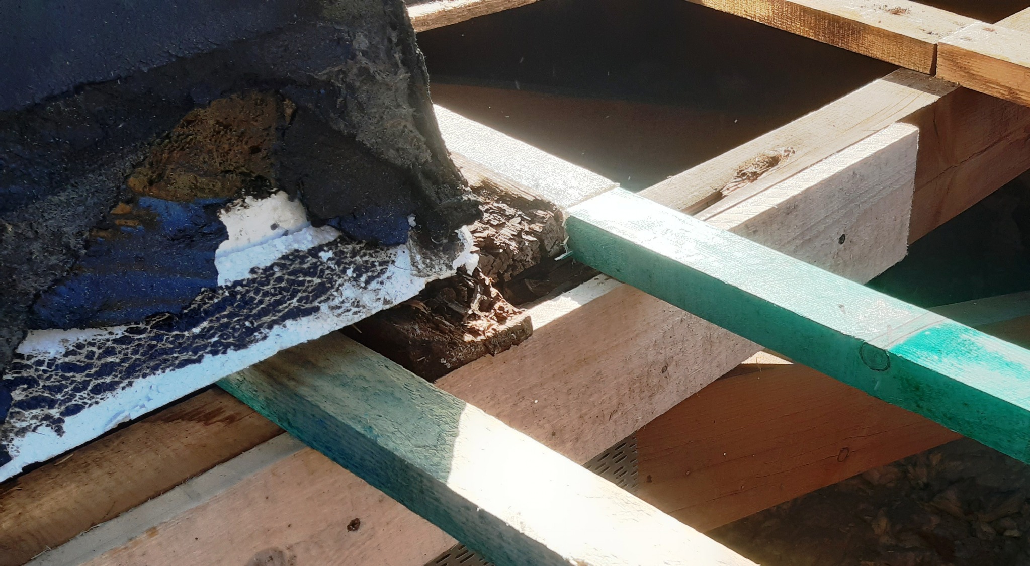 Uszkodzona konstrukcja dachu z widocznymi elementami drewnianymi wymagającymi naprawy, fragment izolacji i czarna papa. Z bliska widoczne ślady zawilgocenia i gnicia drewna.