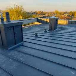 WRÓBELEK SPÓŁKA ZOO Piotr Wróbel - Nowoczesny dach z blachy na rąbek stojący, z widocznymi kominami i odpowietrznikami, na tle zabudowy jednorodzinnej i drzew w jesiennej scenerii.