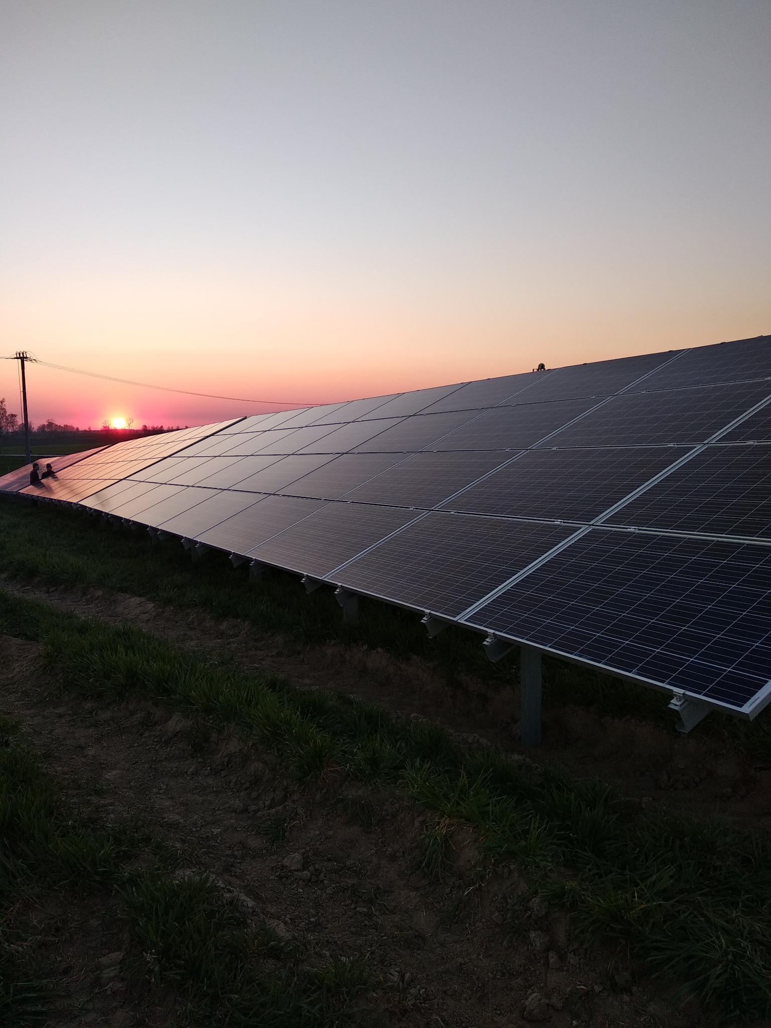 Rząd paneli słonecznych na łące, odbijających zachodzące słońce, z widocznym słupem energetycznym w tle.