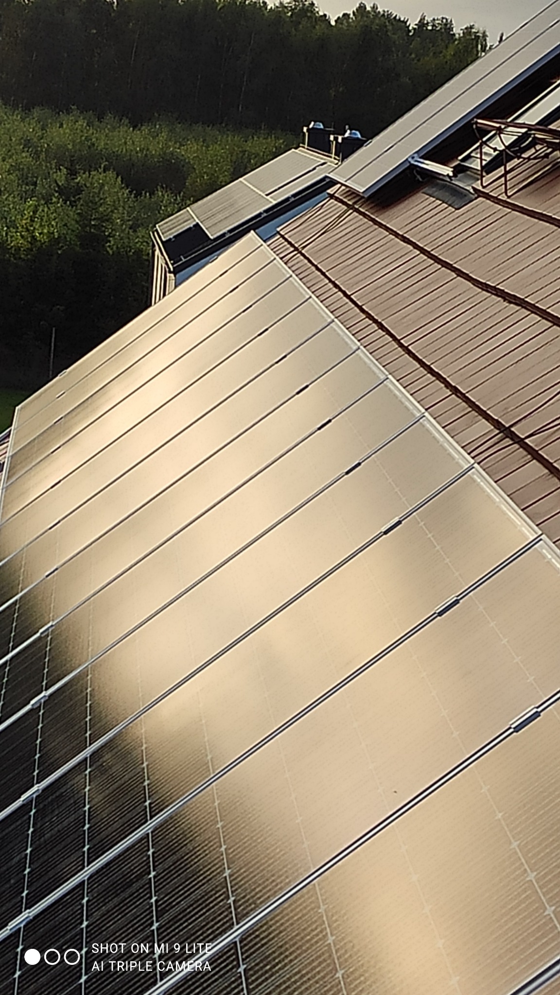 Panele słoneczne na brązowym dachu domu w słoneczny dzień, widoczne drzewa w tle.