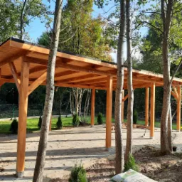 Zadaszona drewniana konstrukcja na betonowej kostce, z drzewami wkomponowanymi w konstrukcję, widok na ogród w tle.