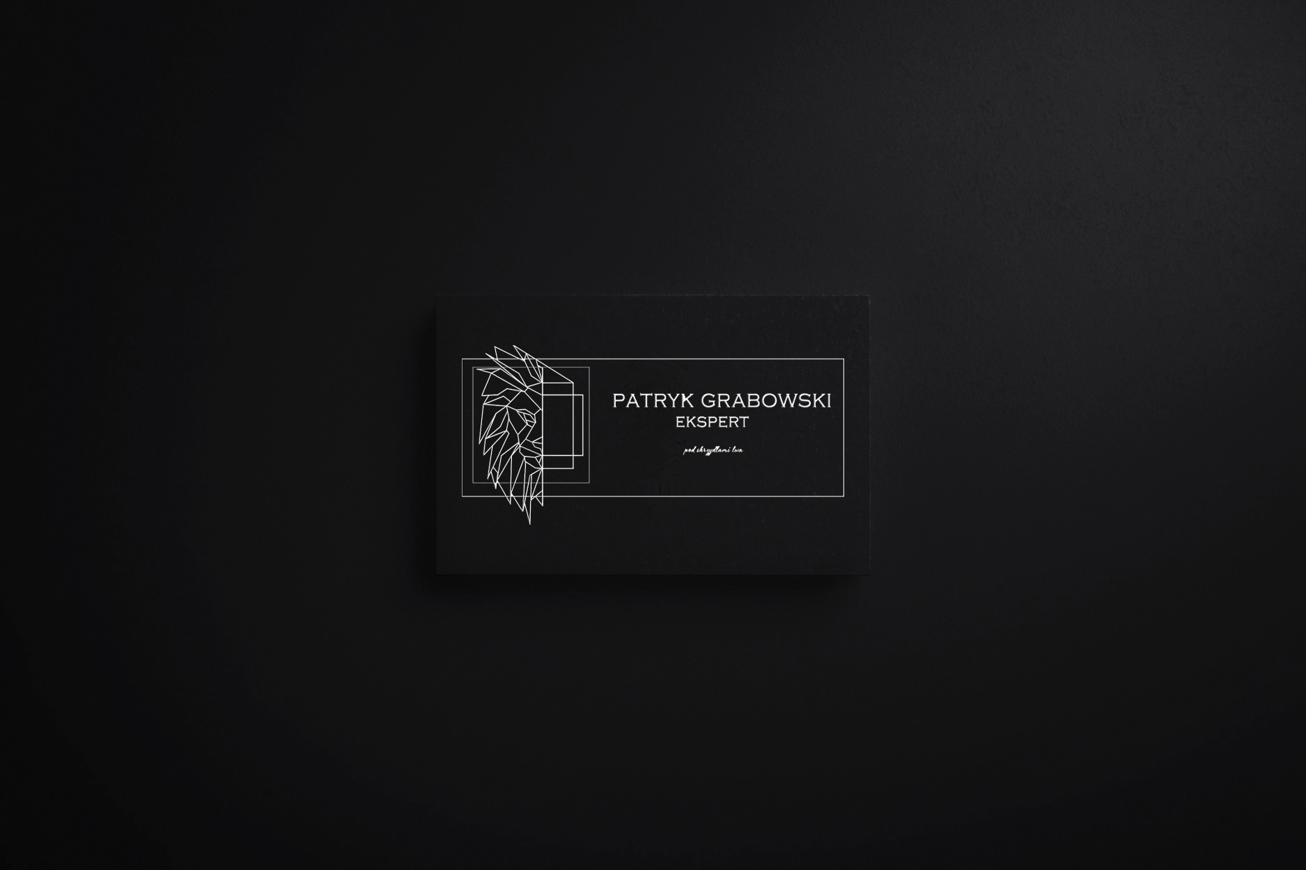 Czarna wizytówka z geometrycznym wizerunkiem lwa, imieniem i nazwiskiem Patryk Grabowski oraz słowem Ekspert, umieszczona na czarnym tle.