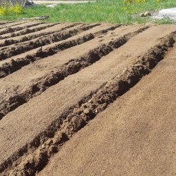 Frezowanie gleby glebogryzarką - przygotowanie pod trawnik.