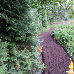 Tak wygląda gleba po naszej glebogryzarce separacyjnej.