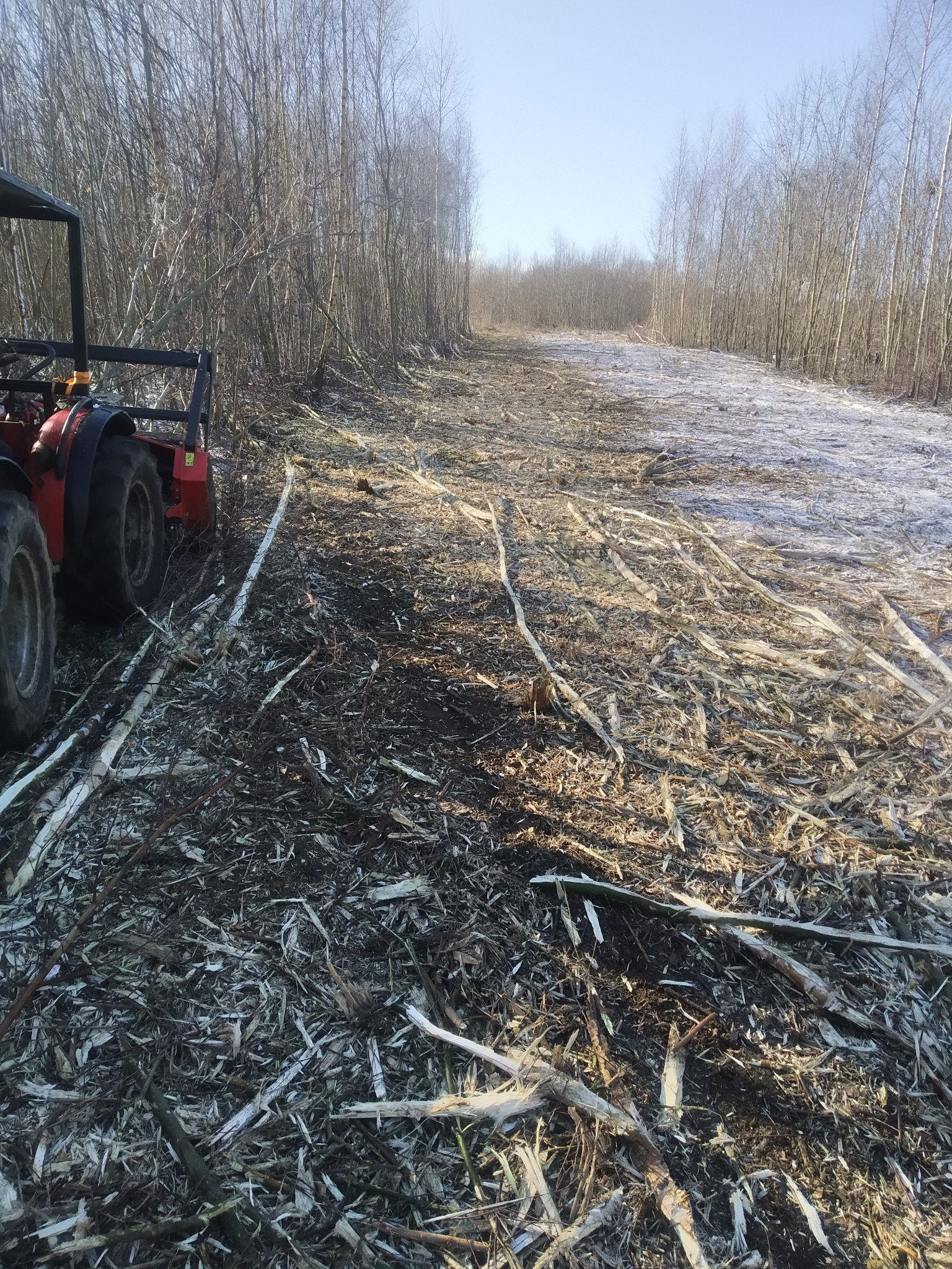Wycinka samosiejek o średnicy do 15cm