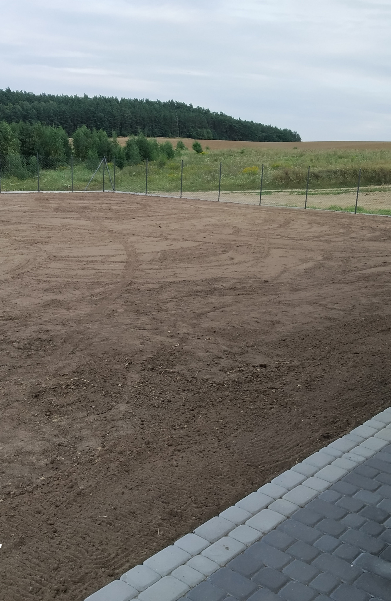 Teren wyrównany i przygotowany pod zasiew trawy.