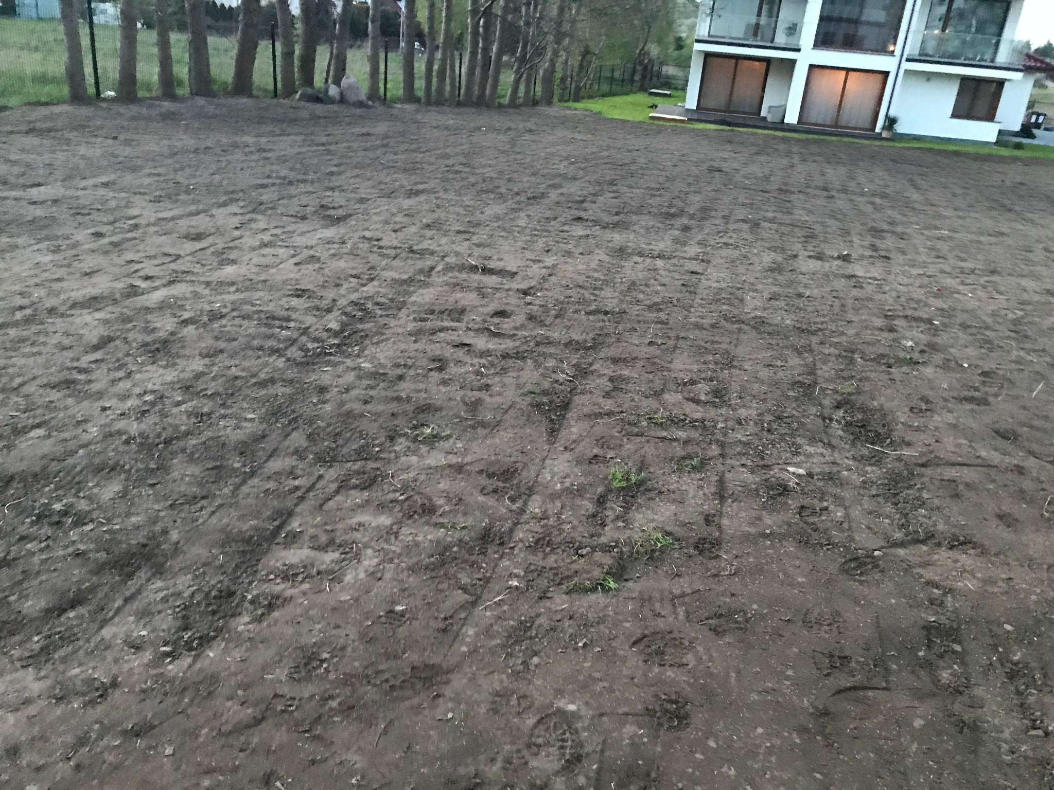 Teren przygotowany do wysiewu trawy.