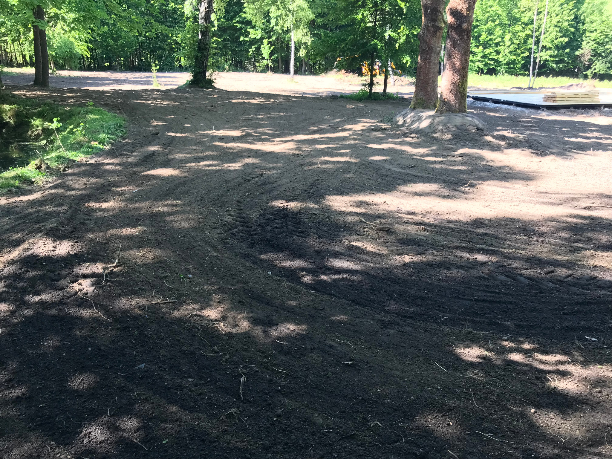 Zajmujemy się też terenami leśnymi.