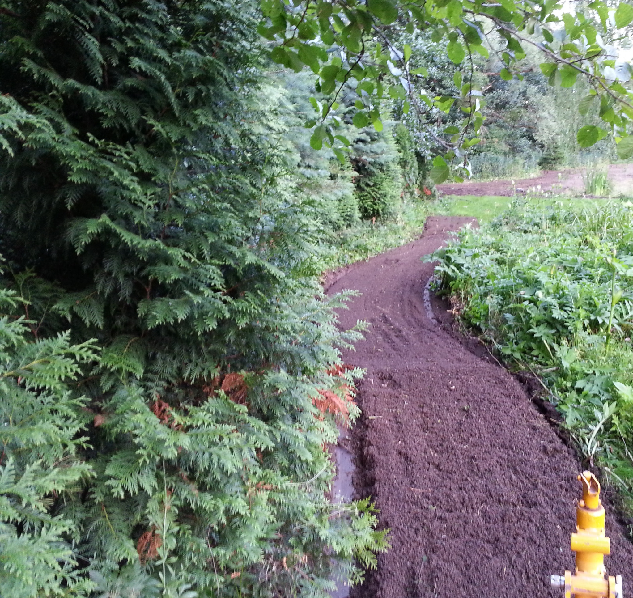 Tak wygląda gleba po naszej glebogryzarce separacyjnej.
