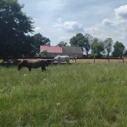 Stowarzyszenie na Wzgórzu Wichów - Nauki Jazdy Konnej Brzeźnica