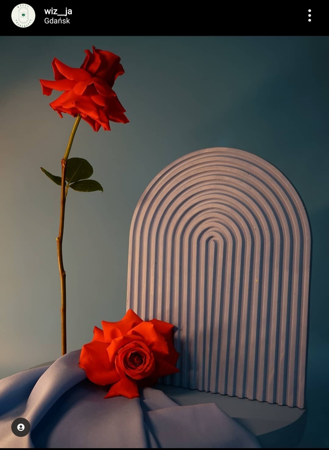 Kompozycja artystyczna z czerwoną różą, draperia z błękitnego materiału i dekoracyjnym elementem architektonicznym w kształcie łuku na tle błękitnej ściany.