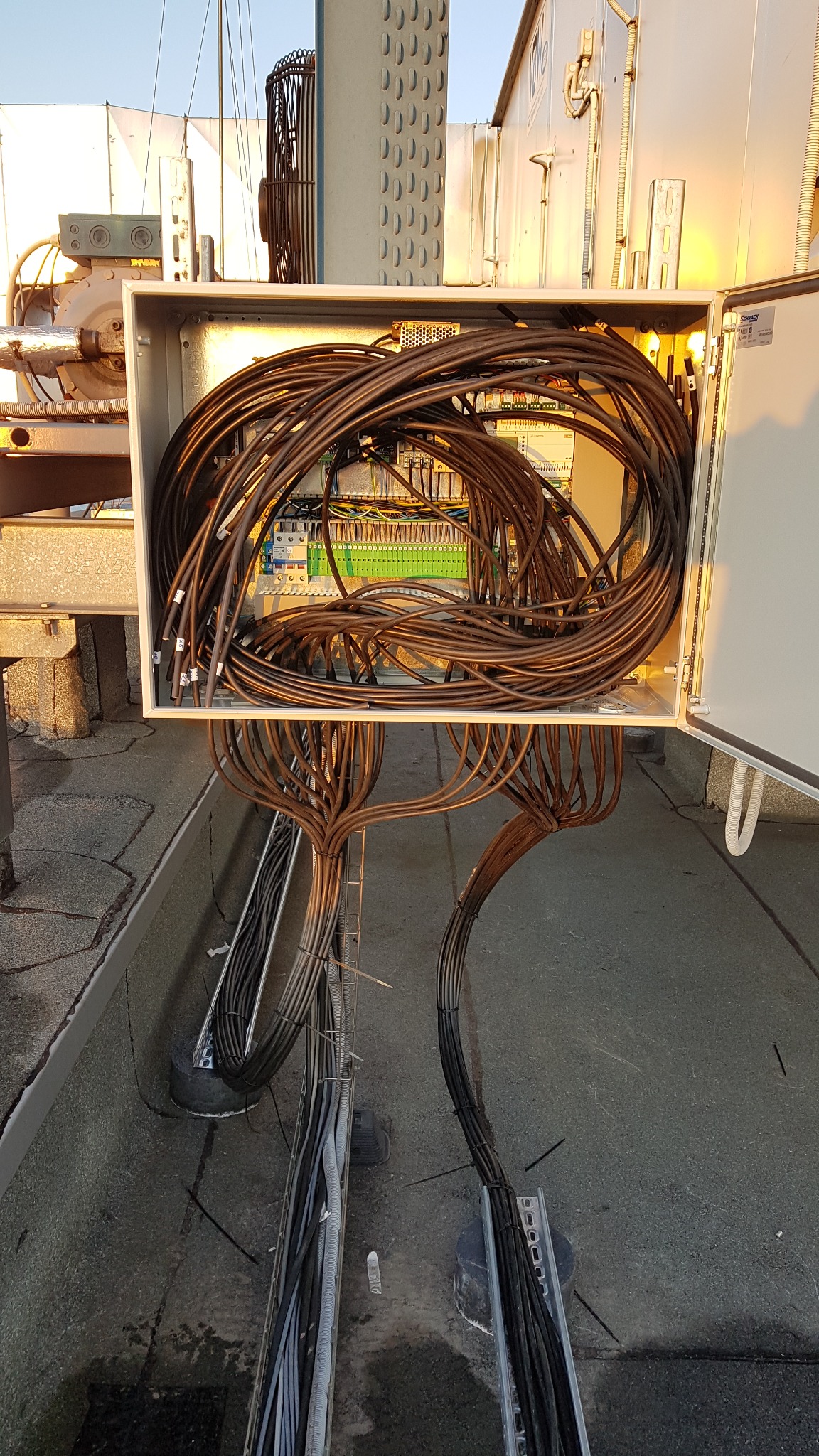 Otwarta skrzynka elektryczna na dachu budynku z gęstą wiązką kabli wewnątrz i wyprowadzonymi na zewnątrz, widoczne złącza i listwy zaciskowe.