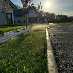RozGardens Zakładanie i pielęgnacja ogrodów Patryk Różański - Automatyczne nawadnianie trawnika z dyszami rozpylającymi wodę. W tle dom, drzewa kwitnące i sylwetki osób. Słoneczny dzień.