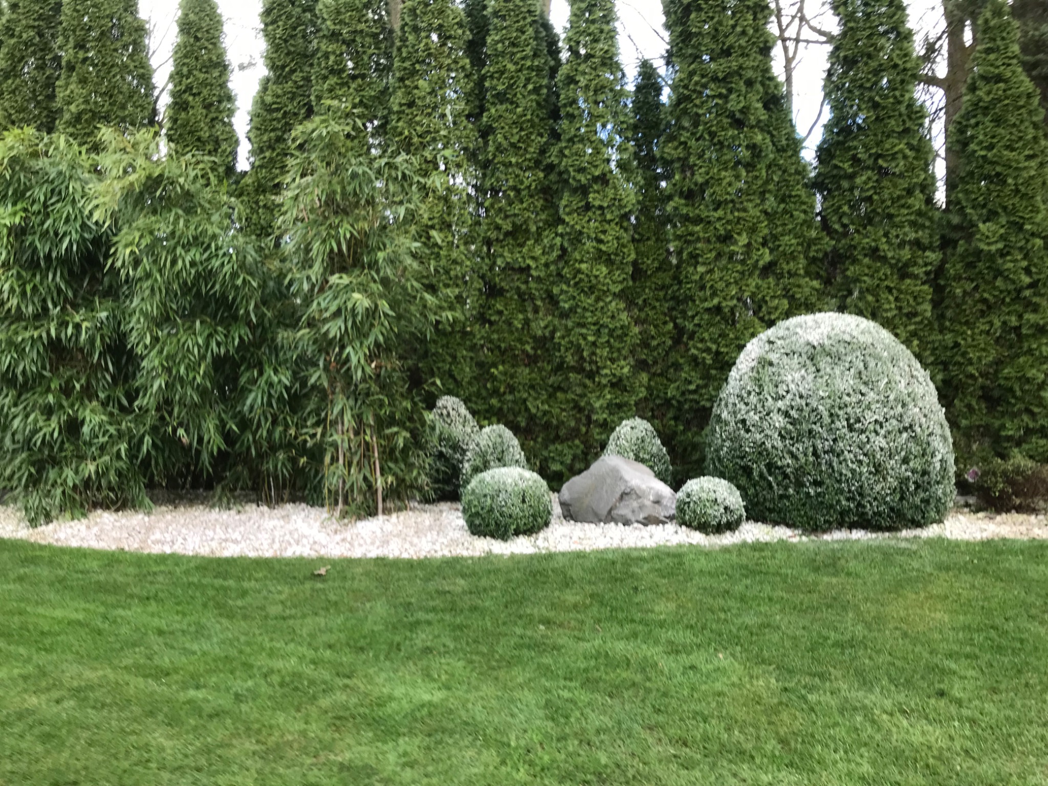 Starannie utrzymany ogród z równo przystrzyżonym trawnikiem, kulistymi krzewami, pojedynczym głazem i wysokimi, smukłymi tujami w tle, oddzielonymi pasem białego grysu.