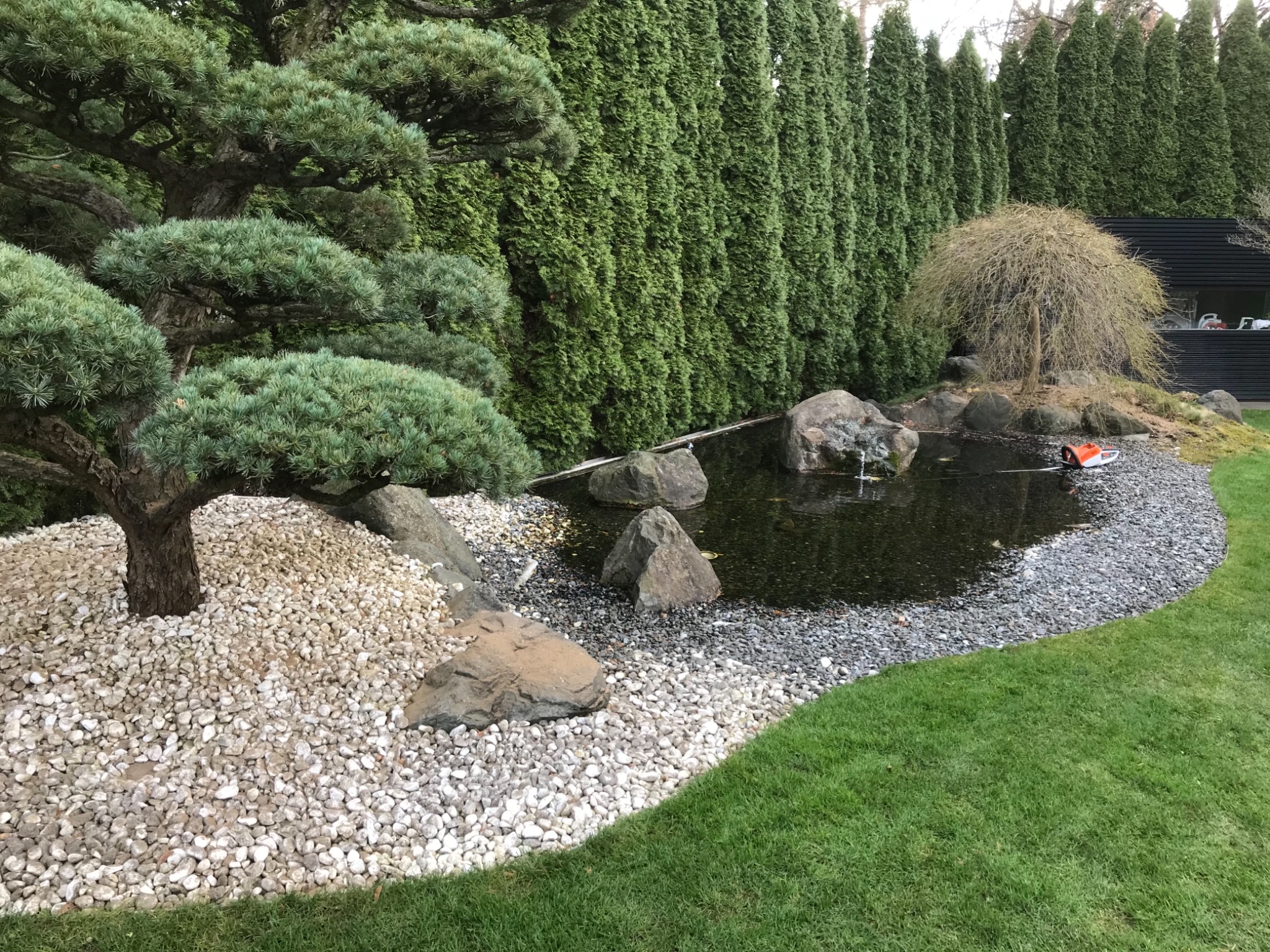Ogród w stylu japońskim z formowanym drzewem iglastym, oczkiem wodnym z kamieniami i żywopłotem z tuj. Na brzegu oczka leży pomarańczowa piła spalinowa.