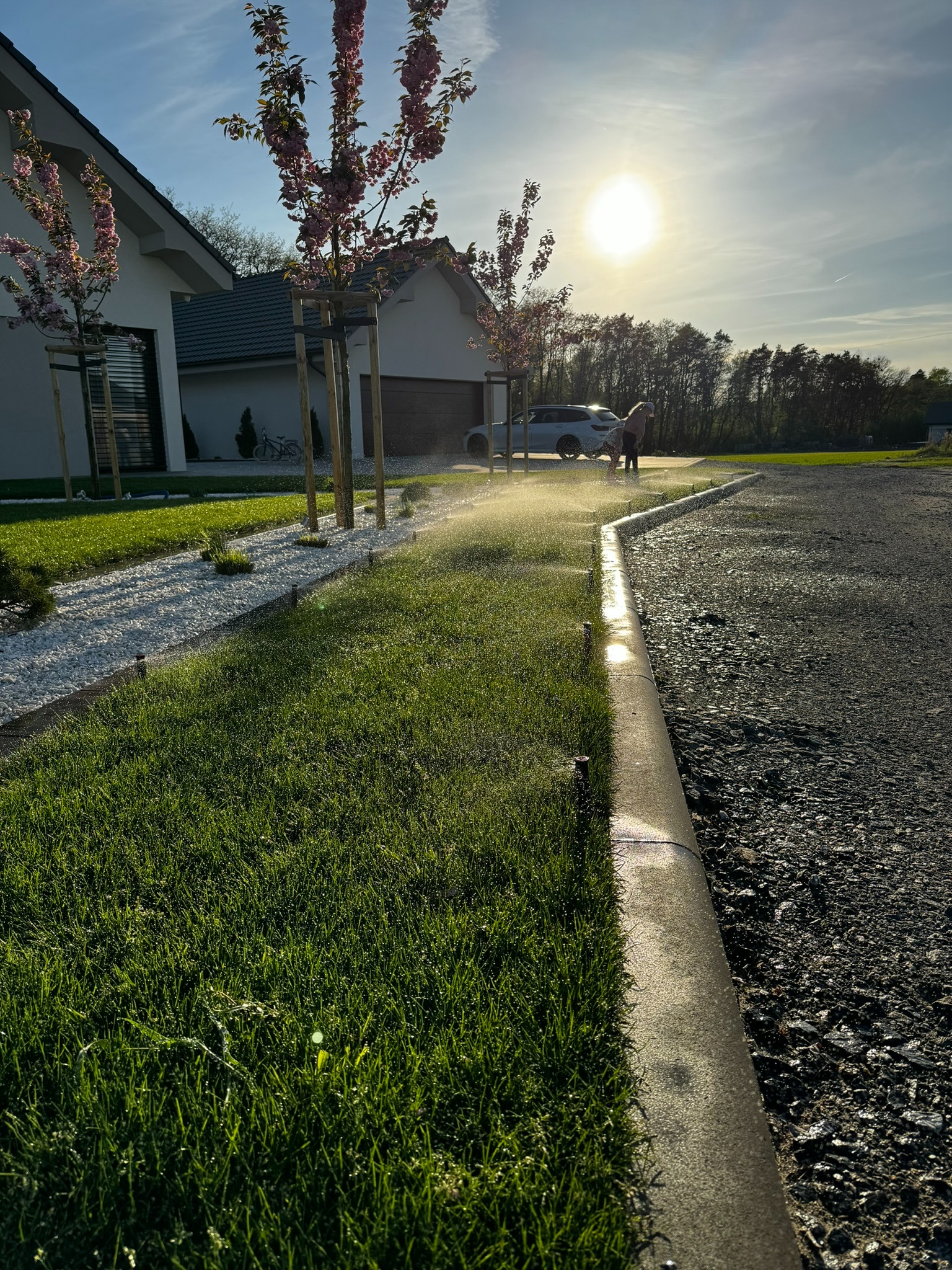 Automatyczne nawadnianie trawnika z dyszami rozpylającymi wodę. W tle dom, drzewa kwitnące i sylwetki osób. Słoneczny dzień.