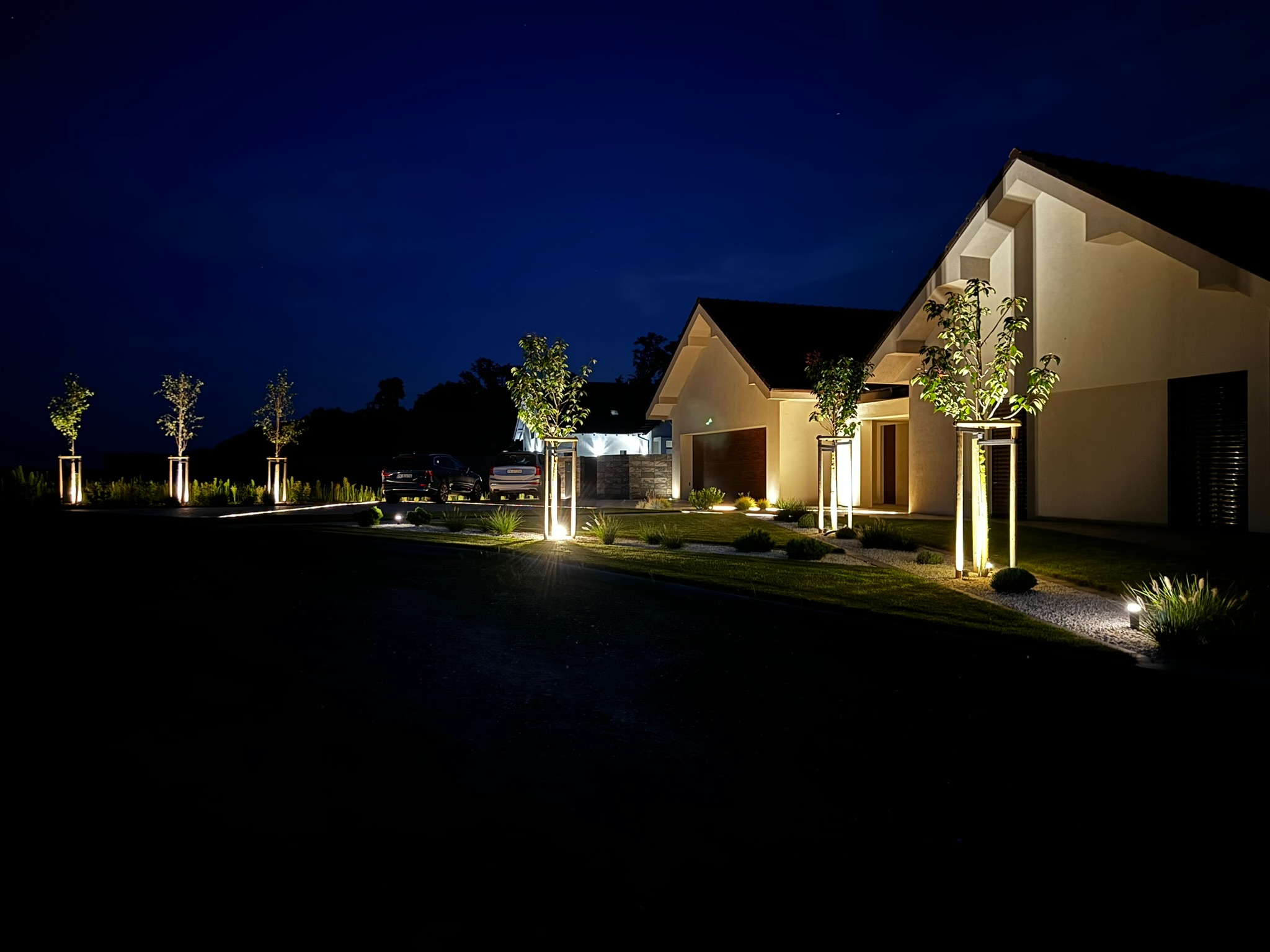 Oświetlony ogród nocą z młodymi drzewami w geometrycznych donicach, podświetlonymi od dołu. W tle dom z oświetlonym podjazdem i zaparkowanym samochodem.