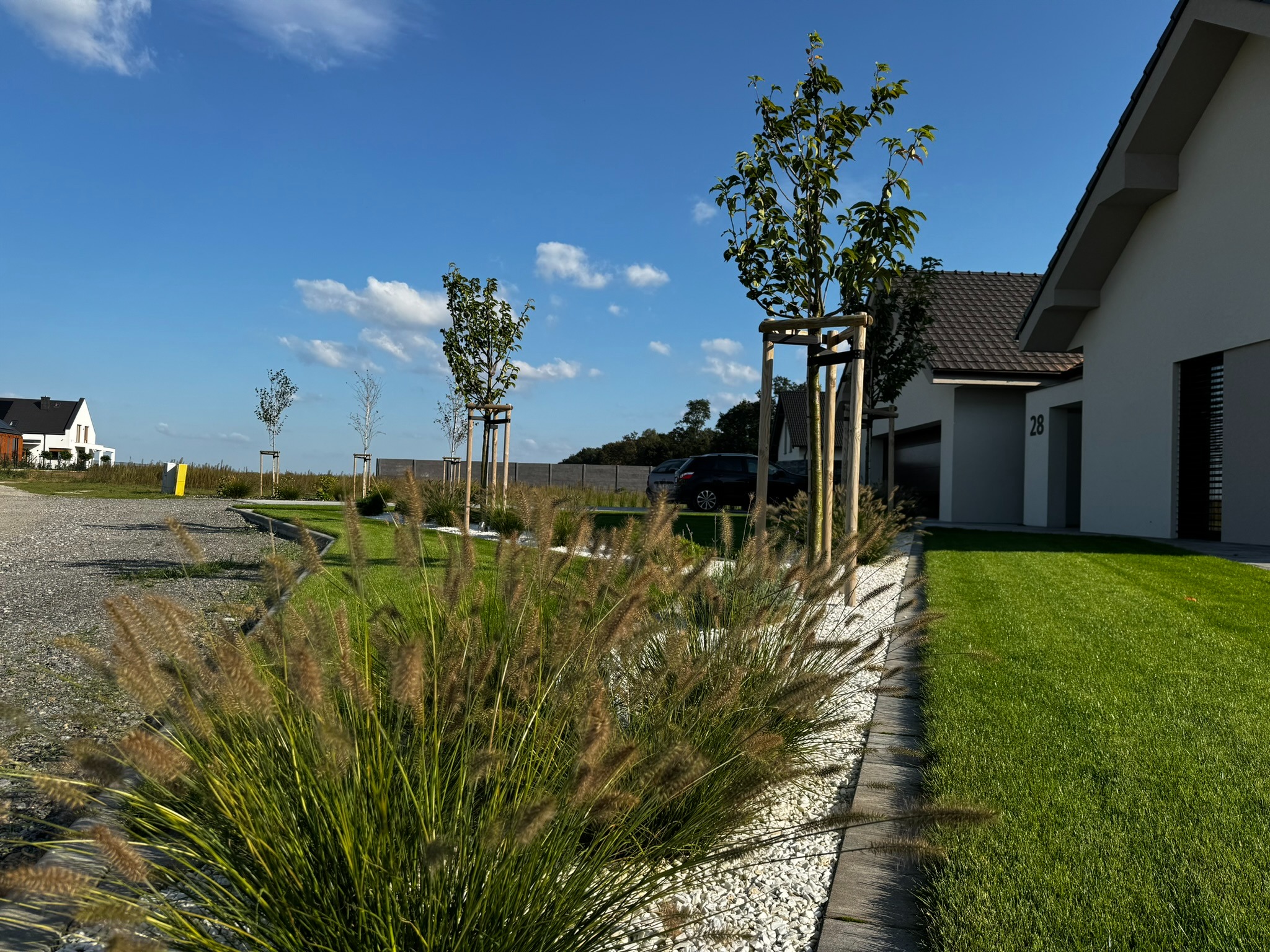 Nowoczesny ogród z równo przystrzyżonym trawnikiem, ozdobnymi trawami i młodymi drzewkami przy domu z numerem 28 w słoneczny dzień.