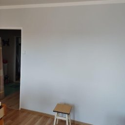 Alex Build - Rewelacyjne Malowanie Ścian Kraków