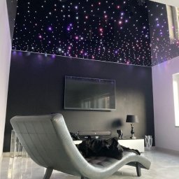 Reghome Sp. z o.o. - Nowoczesny salon z czarnym sufitem napinanym w gwiazdy, szary fotel relaksacyjny z psem, czarna ściana z telewizorem.