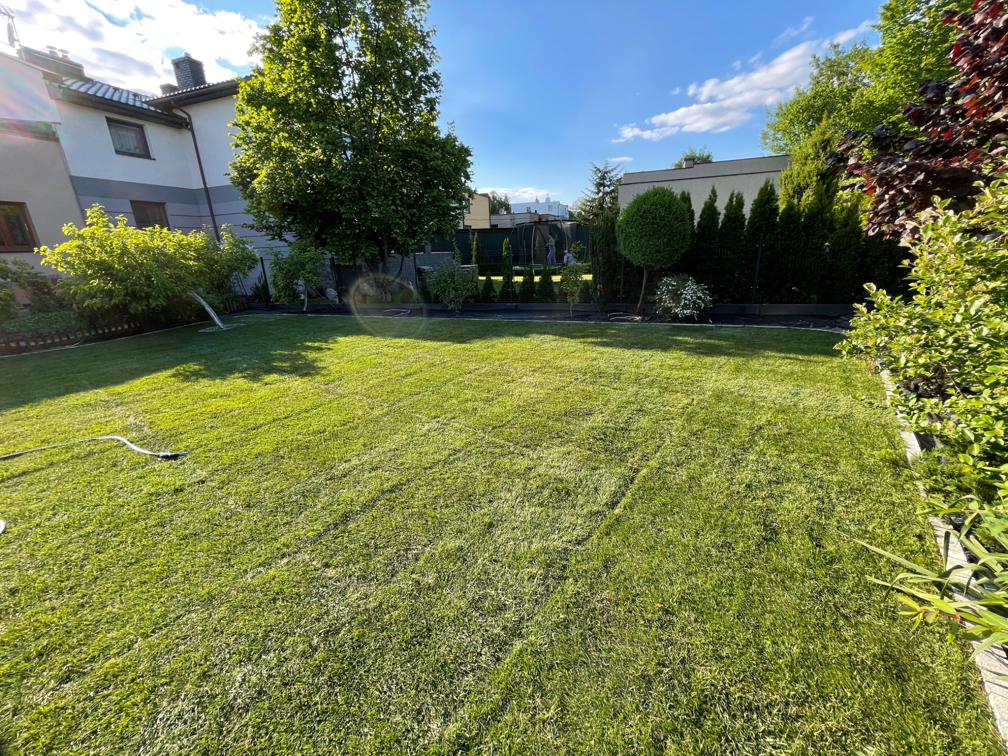 Zadbany trawnik w ogrodzie w Siewierzu, z widocznym systemem nawadniania, otoczony drzewami i krzewami, na tle zabudowań mieszkalnych.