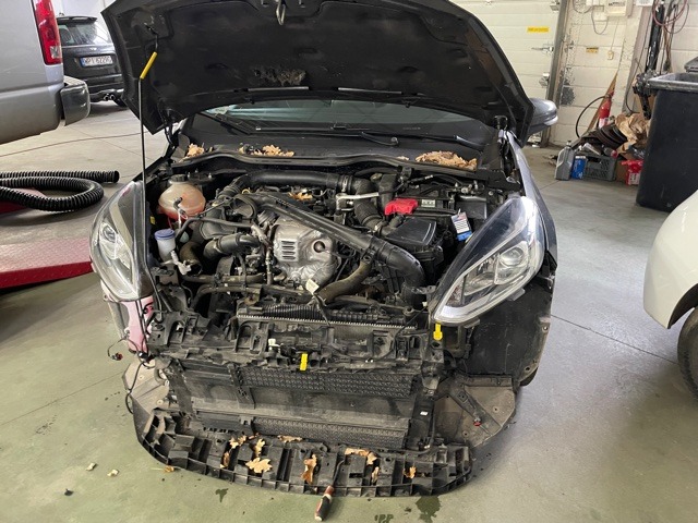 Czarny samochód z otwartą maską w warsztacie, widoczne wnętrze silnika i częściowo zdemontowany przód pojazdu, liście na masce i przednim zderzaku.